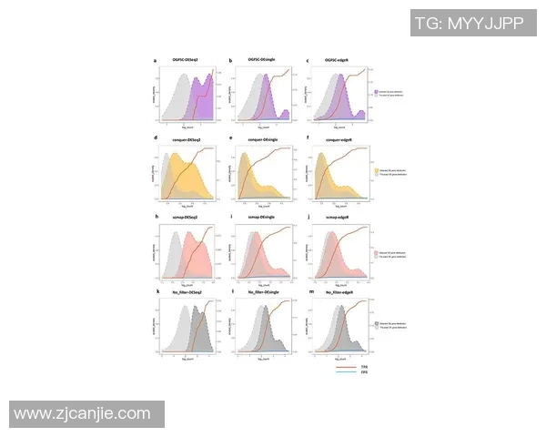 上海足球队团队协作表现的数据分析与提升策略探讨